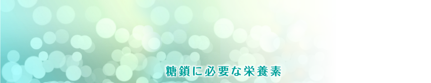 糖鎖のはたらき